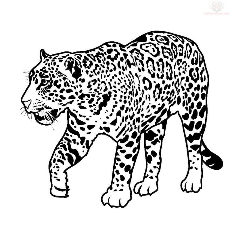 Cool outline walking jaguar in full growth tattoo design - Tattooimages.biz