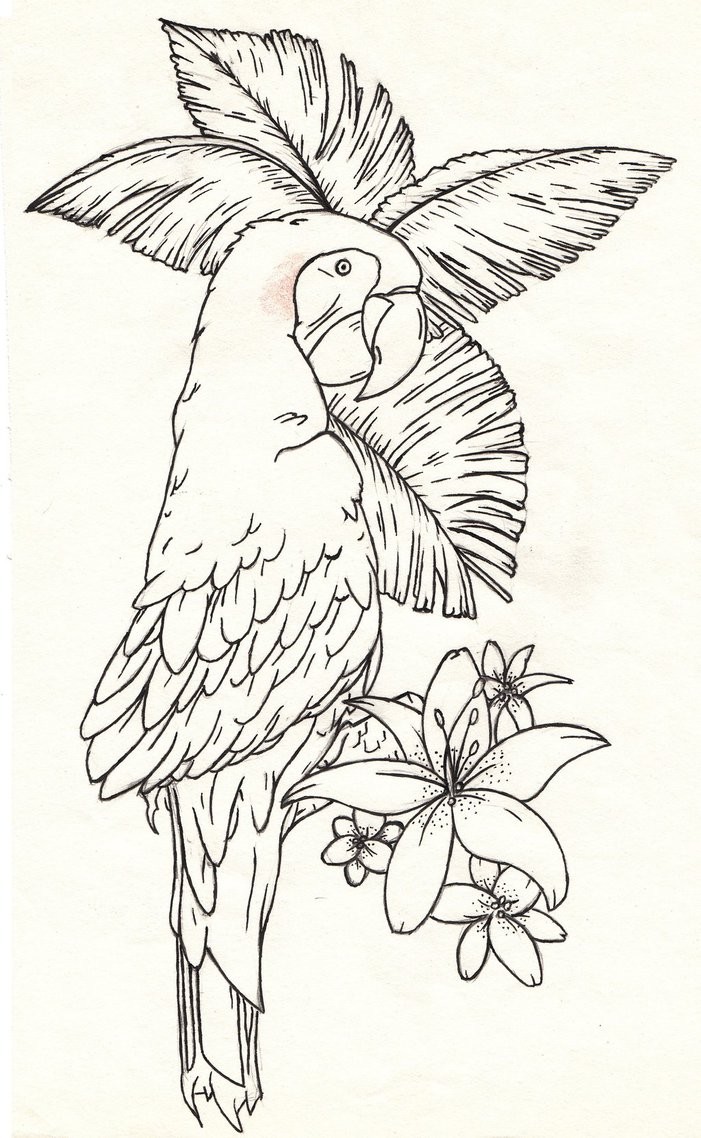 Cute outline parrot tattoo design with tropic herbs by Dfalk Creative