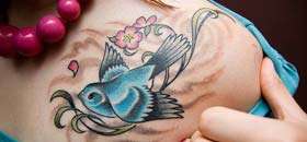 Bird  Tattoos