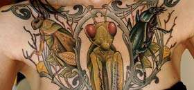 Bug  Tattoos