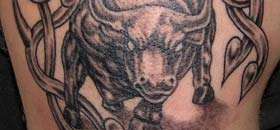 Bull Tattoos