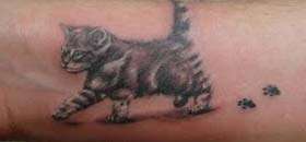 Cat Tattoos
