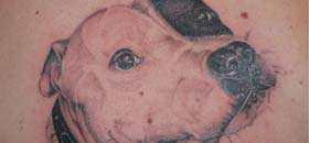 Dog  Tattoos