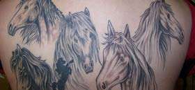 Horse  Tattoos