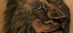 Lion Tattoos