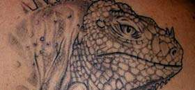 Reptile  Tattoos