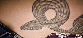 Snake  Tattoos