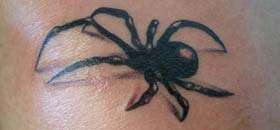 Spider tattoos