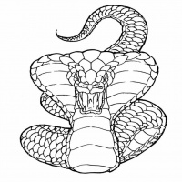 Snake tattoo designs - Page 15 - Tattooimages.biz