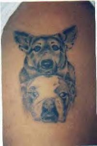 Bulldog tattoos - Tattooimages.biz