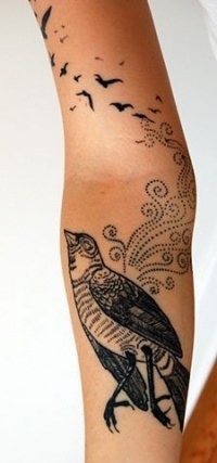 unusual_style_black_and_white_nice_bird.jpg
