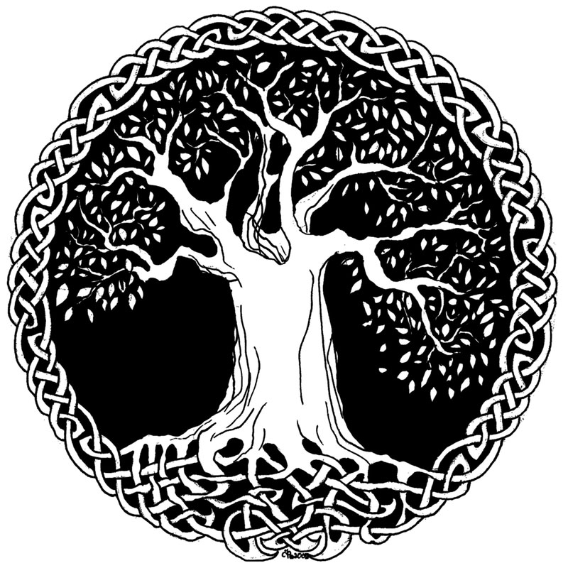 celtic tree of life image
