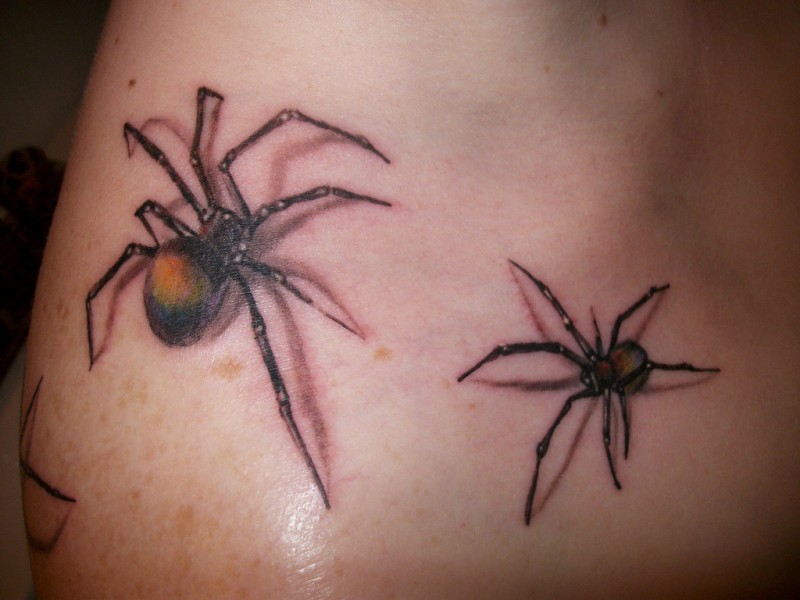 3d farbige Spinnen Tattoo