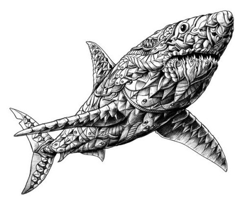 3d grey ornate shark tattoo design