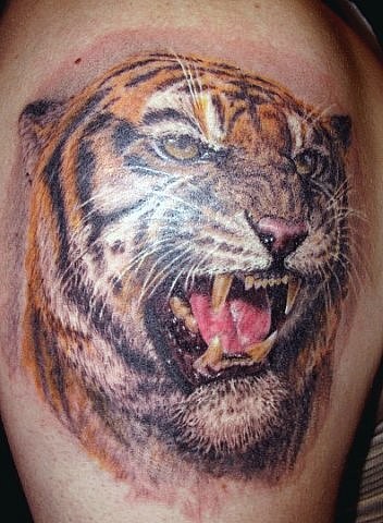 3D realistico dettagliato colorato tigre ruggente tatuaggio su spalla