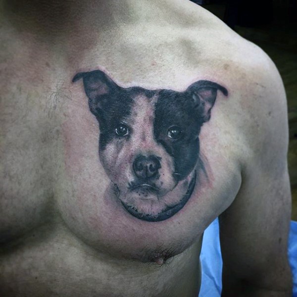 3D realistic dog's portrait memorial tattoo on chest