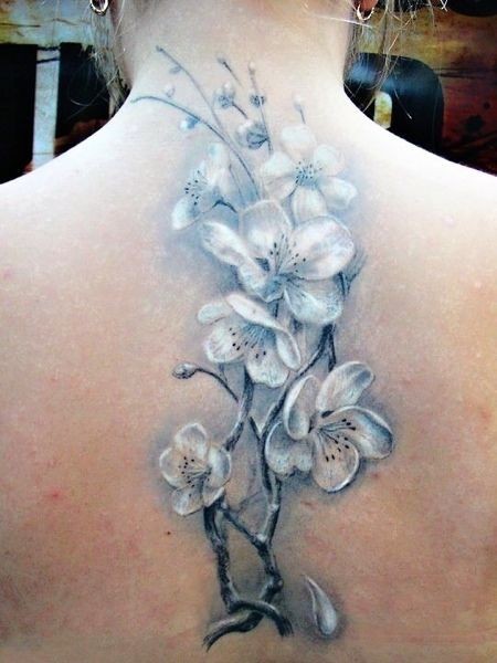 Tatuaje en la espalda, flores delicadas blancas en la ramita