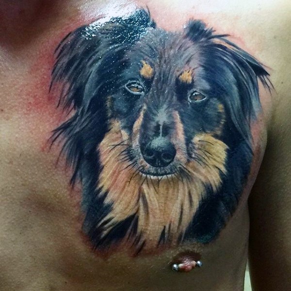 3D realistic naturally colored dog&quots portrait tattoo on chest