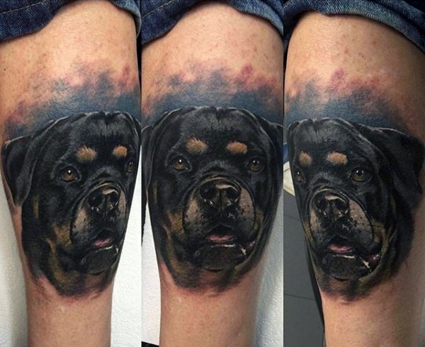 3D realistic naturally colored Rottweiler portrait tattoo on knee