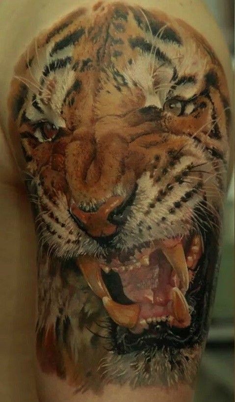 Tatuaje en el brazo, cara de tigre detallada