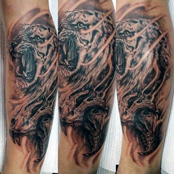 3D style amazing looking forearm tattoo of tiger and skull