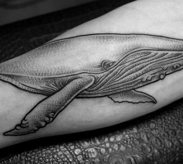 3D style cartoon style colored big whale tattoo on the lower part of the arm