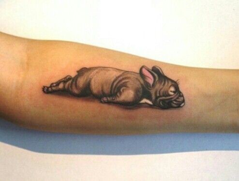 3D style colored forearm tattoo of beautiful sleeping dog
