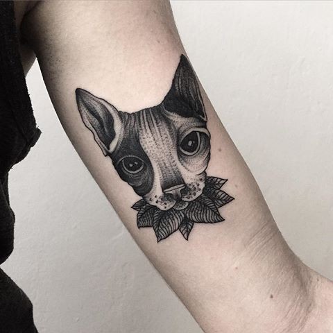 Estilo 3D impressionante procura bíceps tatuagem de gato de estilo de ponto com folhas