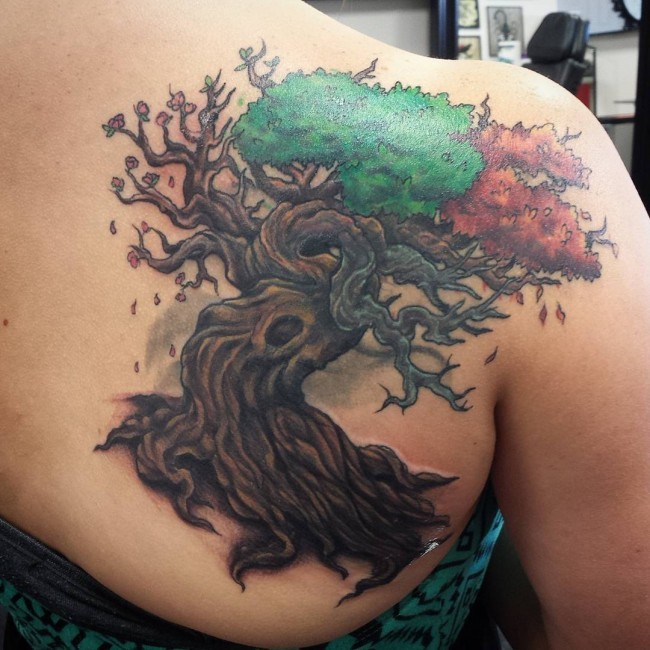 3D style natural colored big tree tattoo on shoulder with multicolored leaves