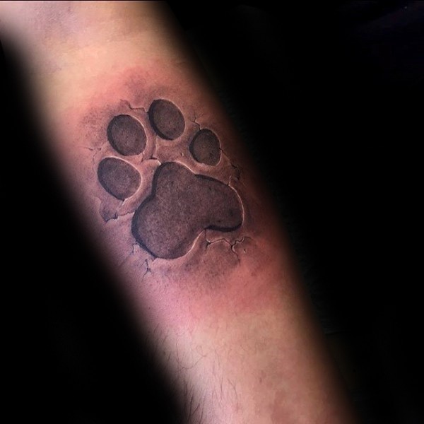 3D style very detailed animal paw print