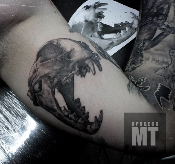 3D style very detailed arm tattoo of cat skull