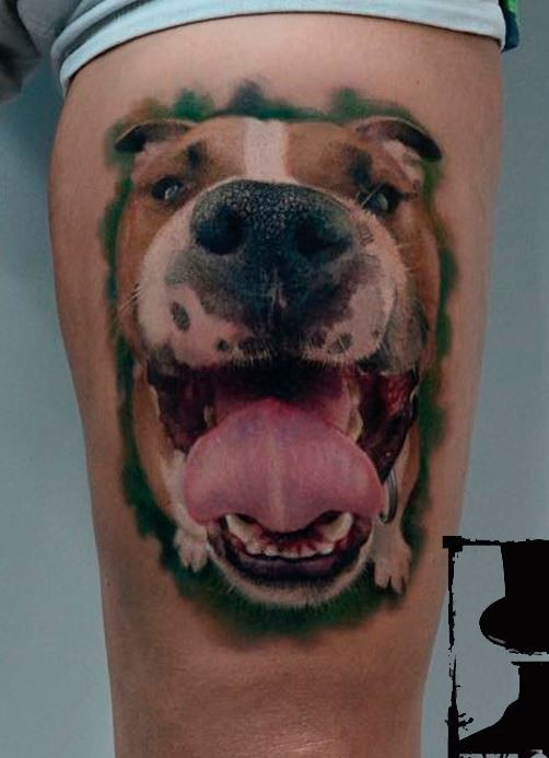 3D style Tattoo auf den Bizeps mit einem lustigen Hund (Rasse Boxer)