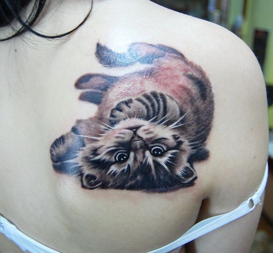 3D style very detailed scapular tattoo of funny cat