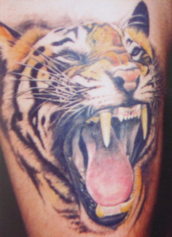 Tatuaje  de tigre que ruge, diseño realista de color