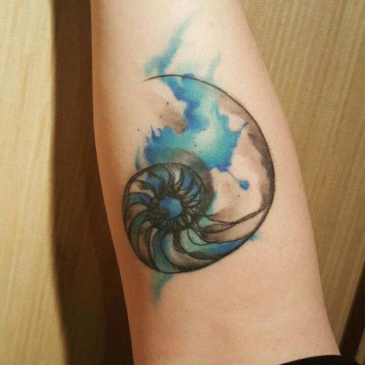 Abstract watercolor style tattoo of nautilus shell