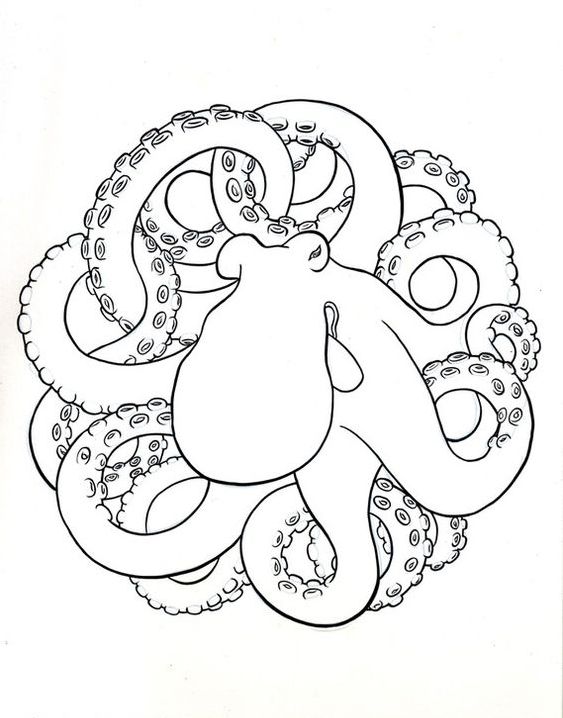 Adorable black-line curled octopus tattoo design