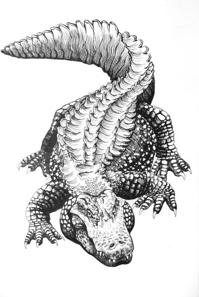 Amazing black-and-grey crawling reptile tattoo design