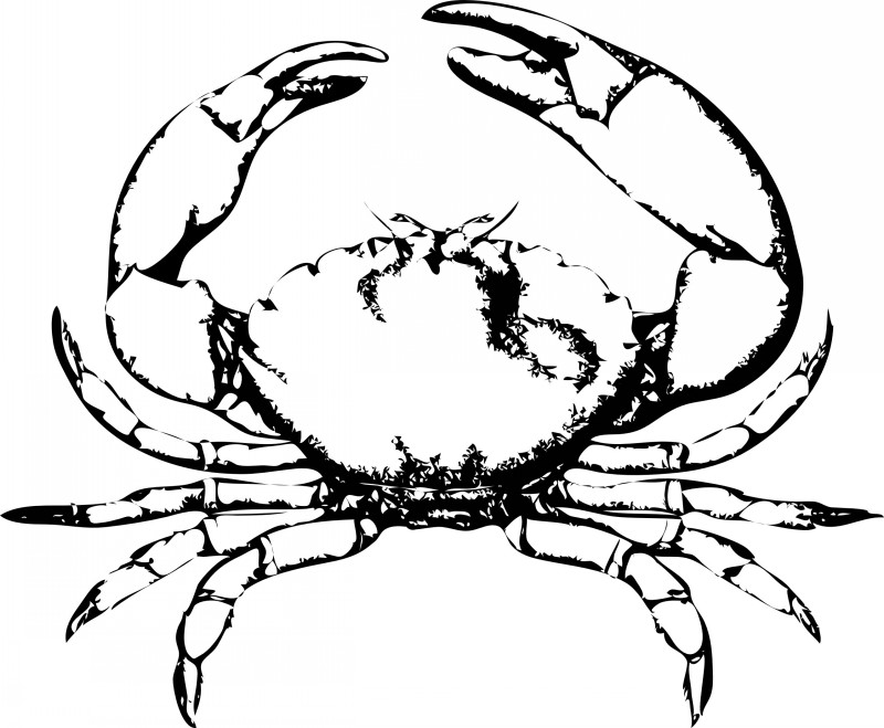 Amazing black-and-white crab tattoo design