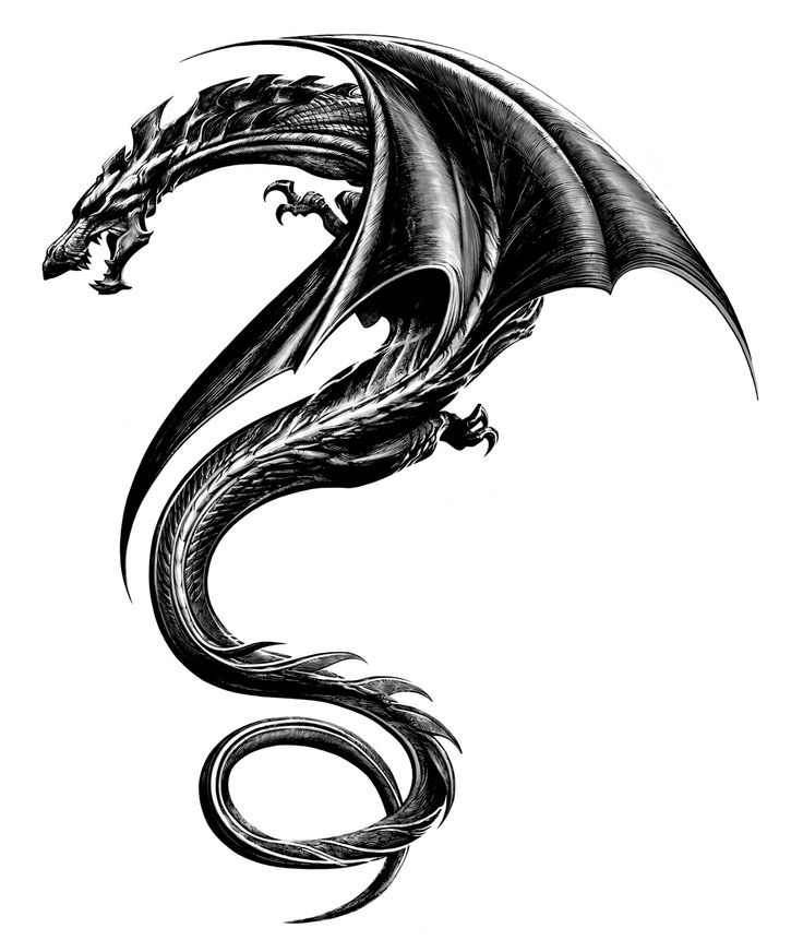Amazing black-ink dragon with long tail tattoo design