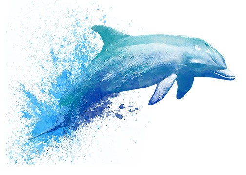 Amazing blue dolphin with splashed tail tattoo design