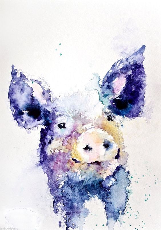 Amazing blue watercolor pig portrait tattoo design