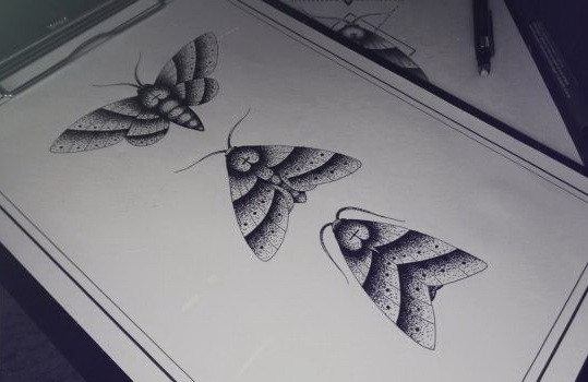 Amazing dotwork moths in three phases tattoo design by Lownerz