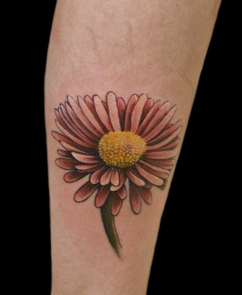 Amazing girly daisy flower tattoo on arm