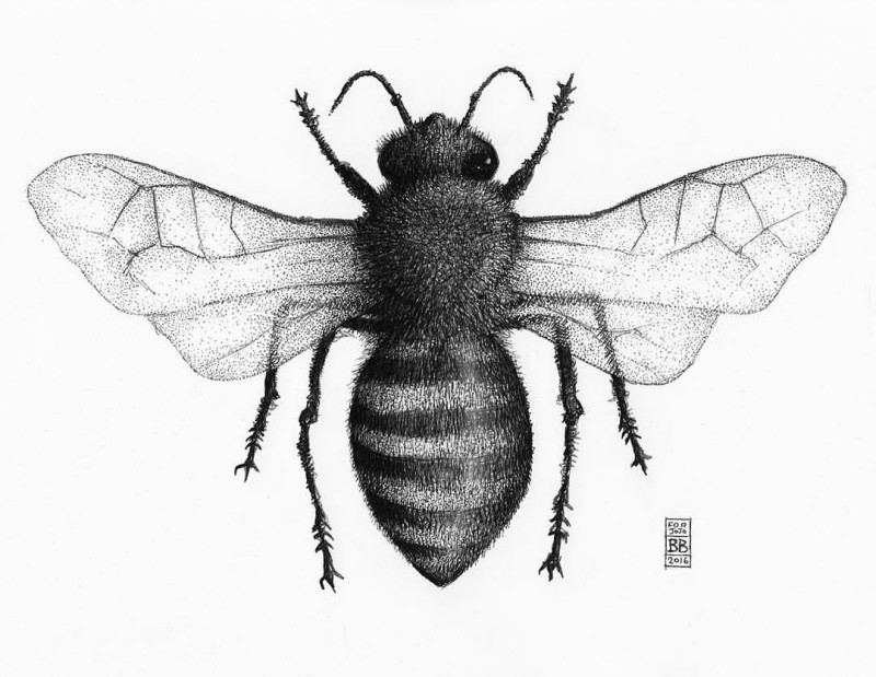 Amazing grey-ink dotwork-winged bee tattoo design