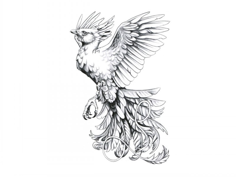 Amazing little grey-ink flying phoenix tattoo design