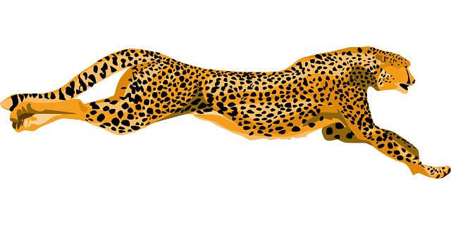 Amazing orange-and-black running cheetah tattoo design