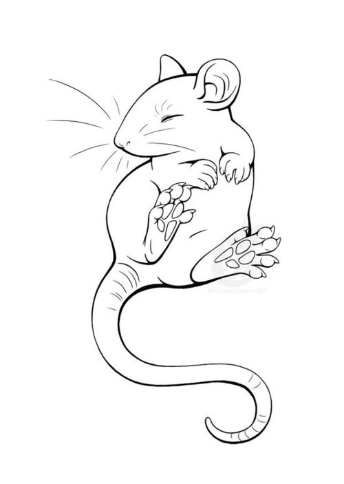 Amazing outline rodent with closed eyes tattoo design