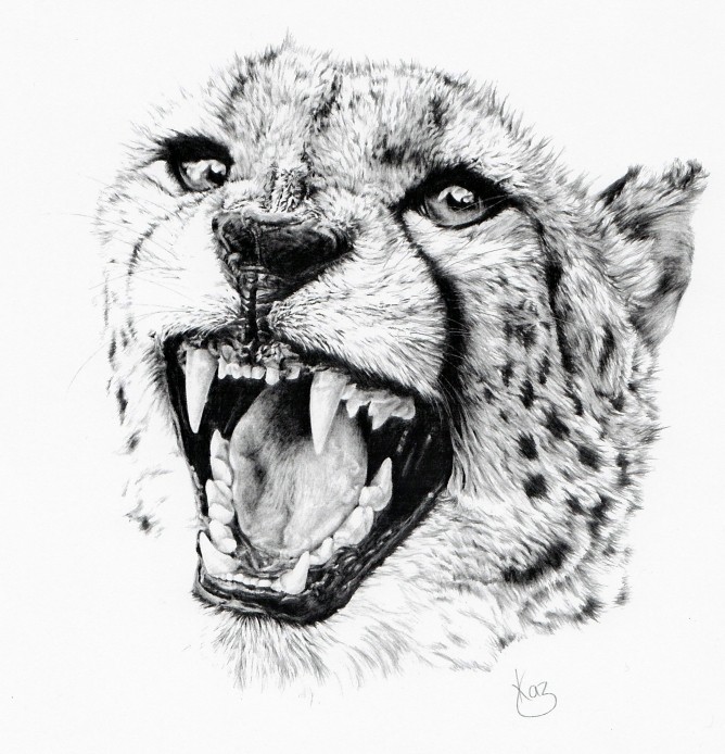 Amazing realistic roaring cheetah head tattoo design