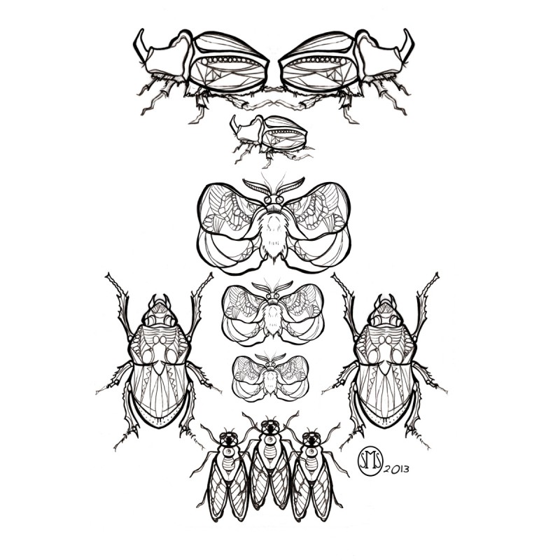 Amazing reflected uncolored bug collage tattoo design