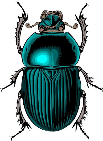 Amazing turquoise striped hard-testa bug tattoo design